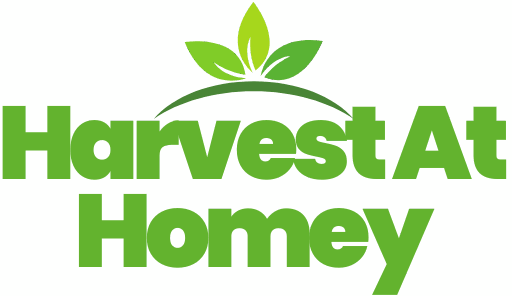 Harvest at Homey