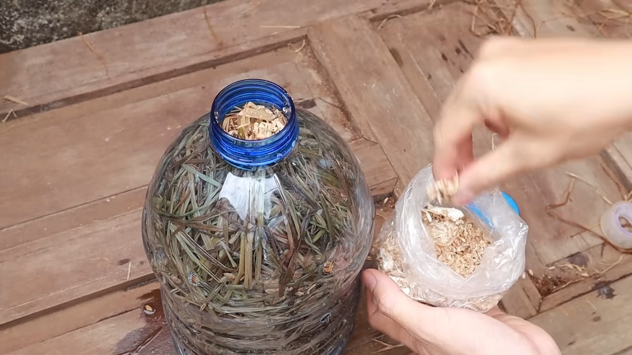 Pilze züchten Plastikflasche