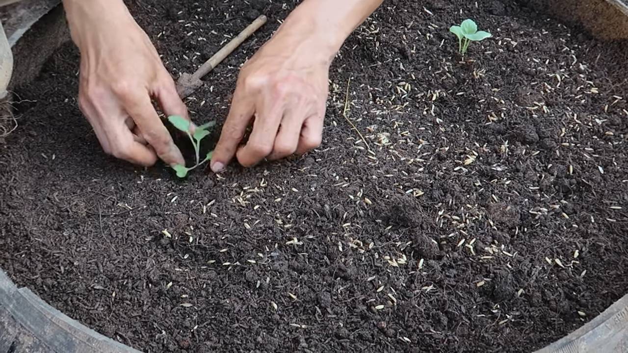 Kohl Routine 10 Minuten