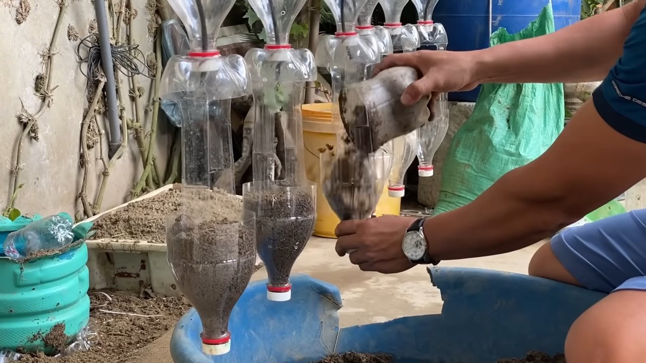Erdbeeren anbauen mit Plastikflaschen