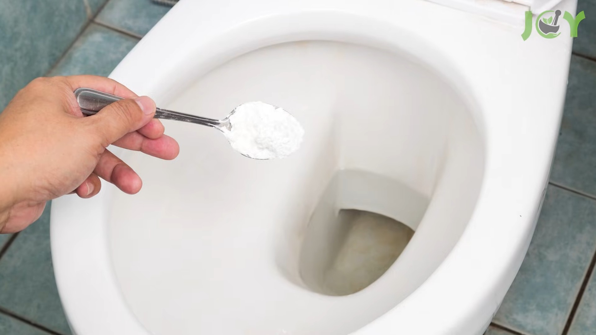 Borax Hacks Haushalt Garten
