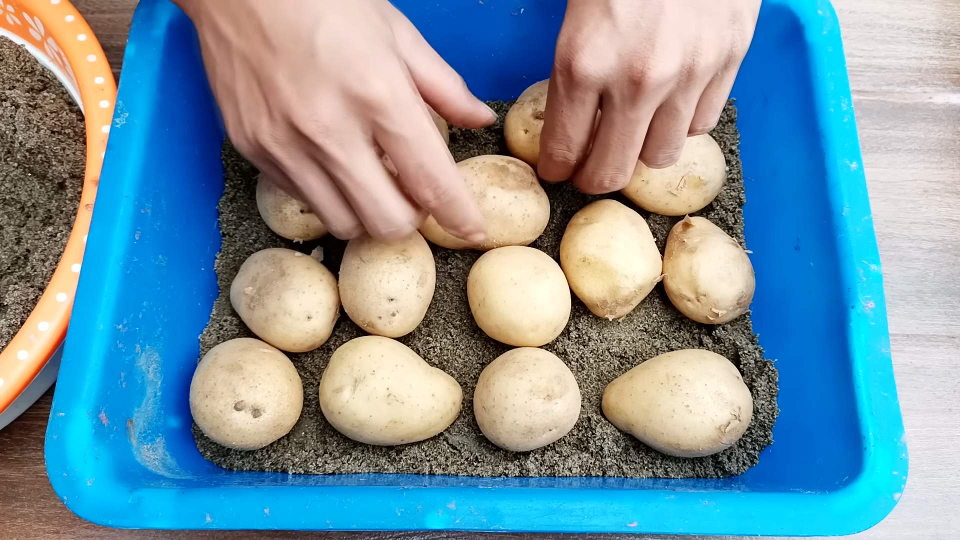 Kartoffeln auf Dachterrasse pflanzen