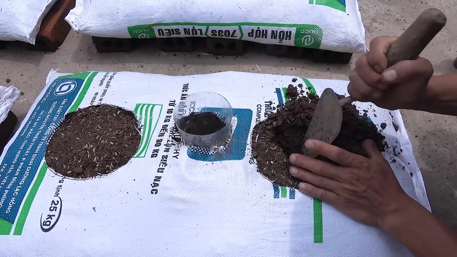 Wassermelone Anbauen Einfache Anleitung